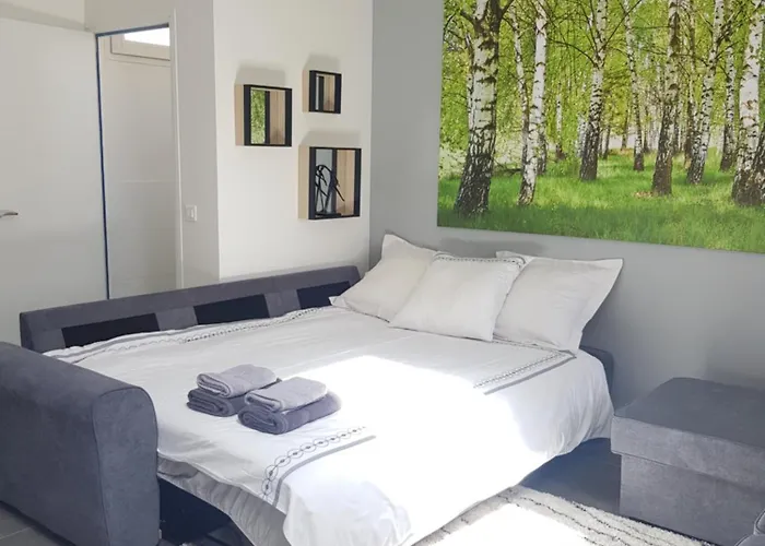 Super Studio cosy proche de CDG